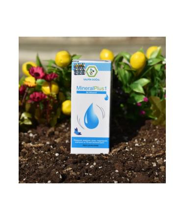 SALP N Mineral Plus 1 100 Ml