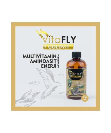 V TAFLY Goldvit Multivitamin 250 ml