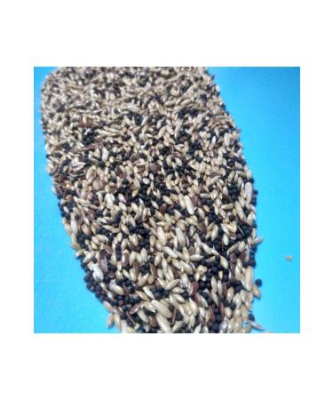 Vivid Mixed Canary Food 2 Kg