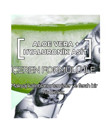 Garnier Hyaluronic Aloe Tonic Refreshing and Moisturizing Tonic 3600542367813 - Buy Online on GoSupps.com