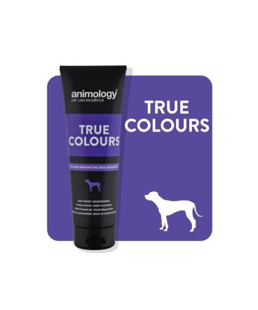 Animology True Colours Colour Revitalising Dog Shampoo 250 ml