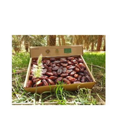 Hakikat Organic Hudri Jumbo Luxury Meaty - Buy Online on GoSupps.com