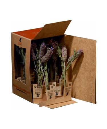 land organic herbal tea Organic Classic Karabash Sage Tea - Buy Online on GoSupps.com