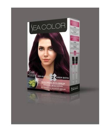 seacolor Sea Color Eggplant Purple 3.66 Hair Dye Two Tubes Hair Dye