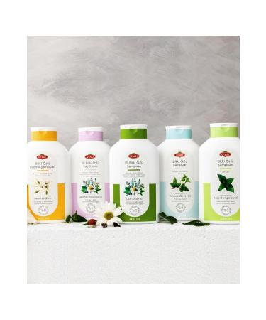 Otac Brand: Shampoo Wall Ivy Anti-Dandruff 400 Ml Category: Shampoo - Buy Online on GoSupps.com