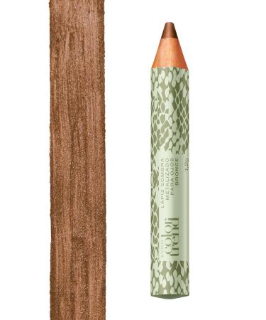 Avon Color Trend Chubby Eyeshadow - Brown Bronze