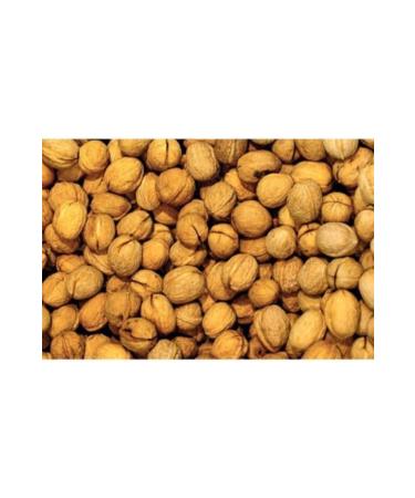 From garden to table Osmaniye Walnut in Shell - 1 Kg