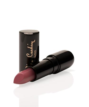 Pierre Cardin Porcelain Edition Lipstick - Rustic Pink - 234 - Buy Online on GoSupps.com