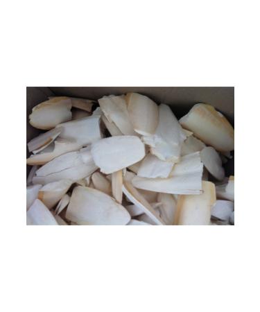Ozpati Broken Cuttlefish Bone (squid) 100 Gr