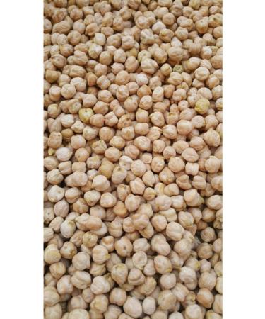 Organikbakal Organic Chickpeas 5 Kg (Our own Crop Karaman Ermenek Region)