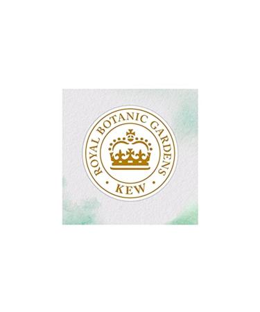 Herbal Essences Brand: Mask Coconut Milk Moisturizer 250 Ml Category: Hair Mask - Buy Online on GoSupps.com