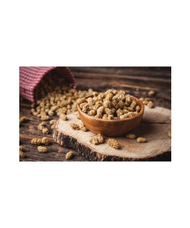 erezcity Dried Mulberry 500 gr