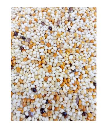 zdemir Petshop Mixed Budgie Food 10 Kg
