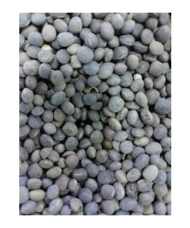 Ozdemir Petshop Fi Hohumu 5kg