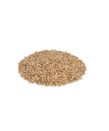 Bambino Safflower Feed 5 Kg