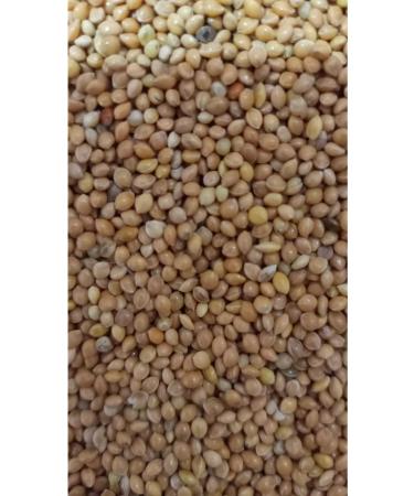 zdemir Petshop Yellow Millet 5kg