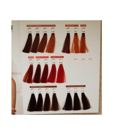 HUSH The Passion Smartart Hair Dye 4/0 Brown 60 ml Non-oxidant. 1 Pair of Gloves - Buy Online on GoSupps.com