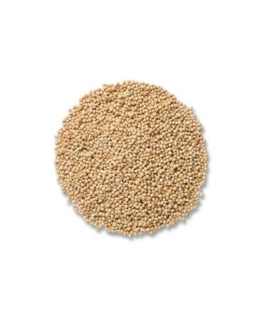 Aktar Store Bird Food White Millet White Millet 1 Kg