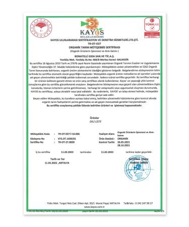 Bonatelli 2-Piece Organic Green Lentil Pasta - Buy Online on GoSupps.com