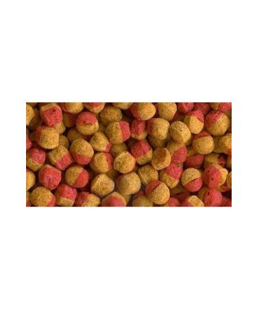 Tetra Cichlid Color Mini Granules 500 Grams