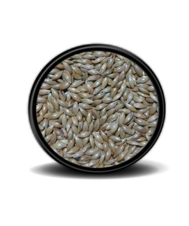 724 PET MARKET Vivid Plain Canary Food 2 Kg