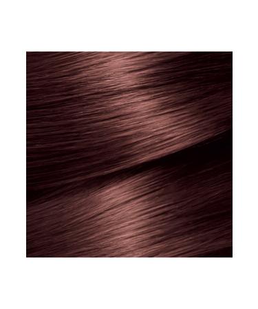 Garnier Color Naturals 5.25 Hot Coffee - Buy Online on GoSupps.com