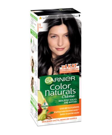 Garnier Color Naturals 1 Black