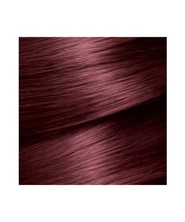 Garnier Color Naturals 4.6 Chestnut Red - Buy Online on GoSupps.com