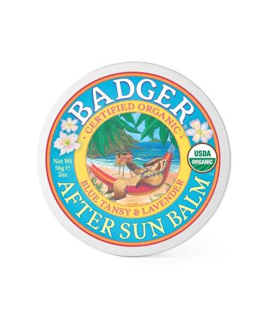 Badger After Sun Moisturizing Cream
