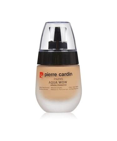 Pierre Cardin Aqua Wow Mineral Water Based Foundation Tan Skin With Beige Warm