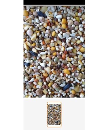 SOHA TRADE Mixed Pigeon Food 10 Kg