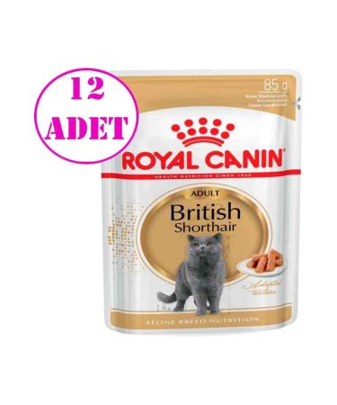Royal Canin British Shorthair Adult Cat Canned Food 85 Gr 12 Pieces