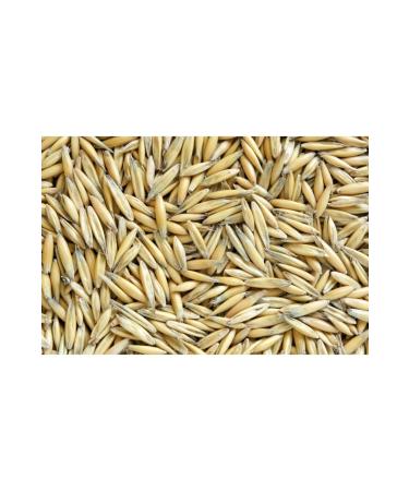 YAL IN BABA YEM Oat Seed in 1kg Packages