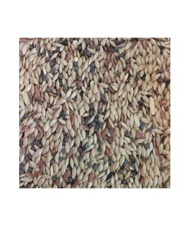 Ingro Kanarya Plain (ASPUR) 1 Kg