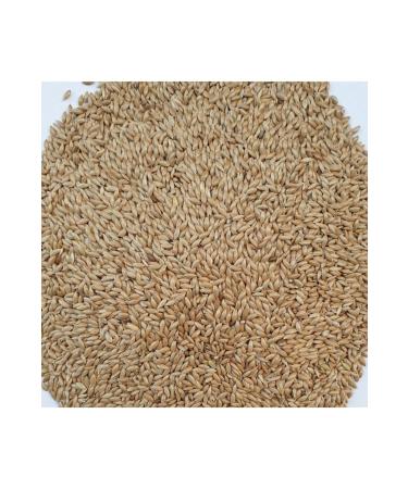 Pupa Plain Canary Food 10kg