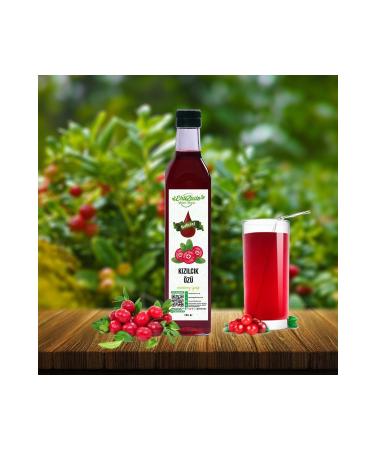 Ehlizade Cranberry Extract 700 gr