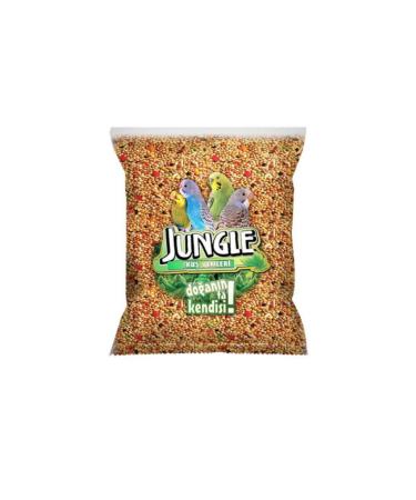 Jungle Budgie Bird Set - Buy Online on GoSupps.com