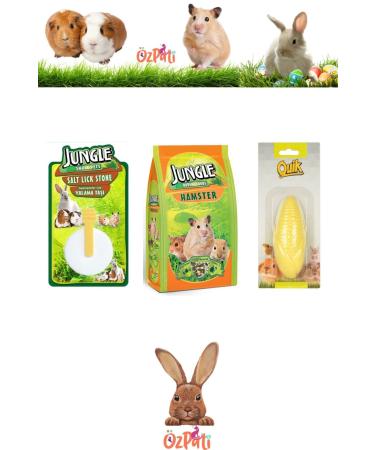 Jungle Hamster Food + Licking Stone + Calcium