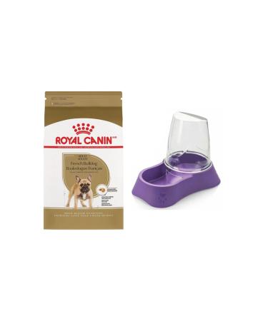 Royal Canin Adult French Bulldog Dog Food 3 Kg + Evohe Food Bowl