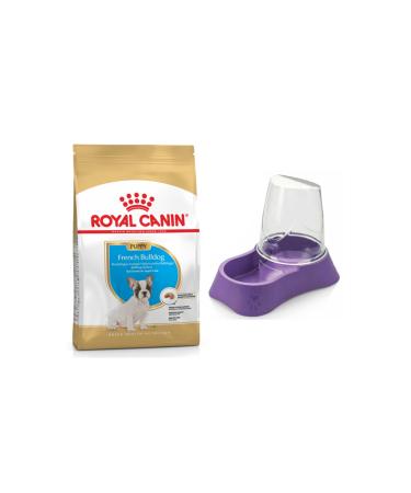 Royal Canin Puppy French Bulldog Dog Food 3 kg + Evohe Food Bowl