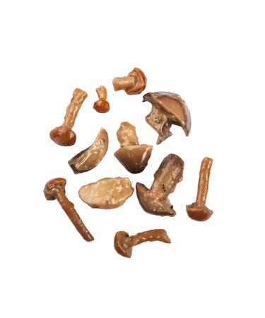 ProntoFresco Wild Culture Mushroom Mix 800 g - Buy Online on GoSupps.com