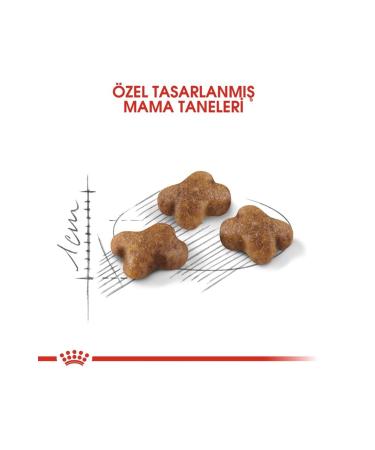 Royal Canin Kitten Cat Food 10 Kg - Buy Online on GoSupps.com