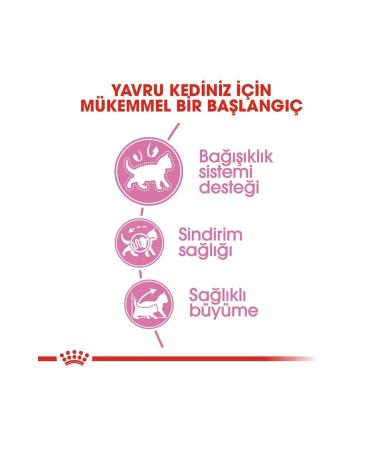 Royal Canin Kitten Cat Food 10 Kg - Buy Online on GoSupps.com