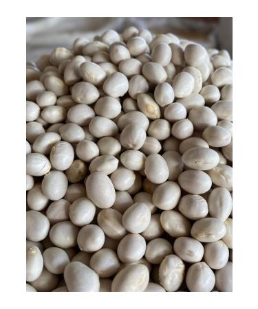 Erzincan Local Erzincan Sugar Beans 5kg - Buy Online on GoSupps.com