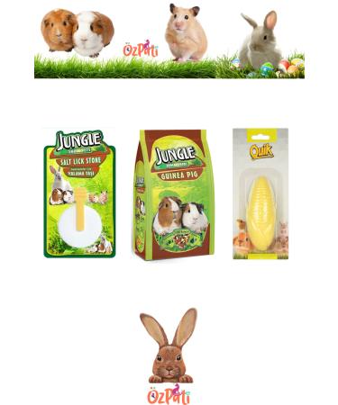 Jungle Guinea Pig Food + Licking Stone + Calcium