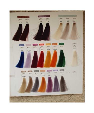 HUSH The Passion Smart 8/34 Light Blonde Dore Copper Paint 60ml - Buy Online on GoSupps.com