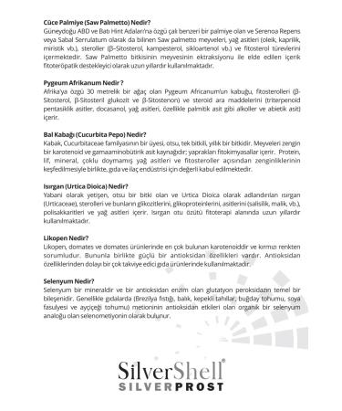 S LVER SHELL Silvershell Silver Prost - Buy Online on GoSupps.com
