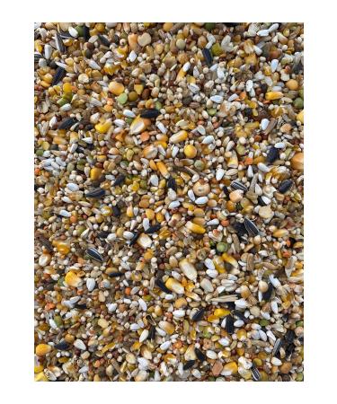 KlasPetshop Economic Mixed Pigeon Food Mixed Chicken Food 5 Kg