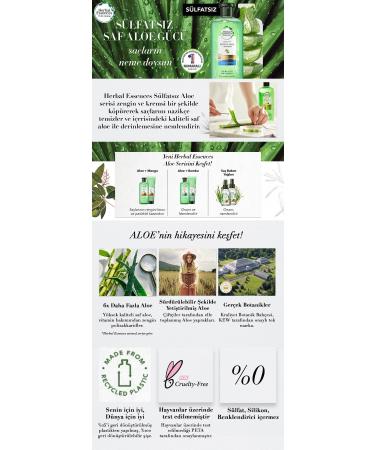 Herbal Essences Sulfate Free Shampoo Aloe Power + Mango 380 Ml X 3 Pcs - Buy Online on GoSupps.com