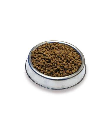 obivan Salmon and Anchovy Sterilized Cat Food 10kg - Buy Online on GoSupps.com